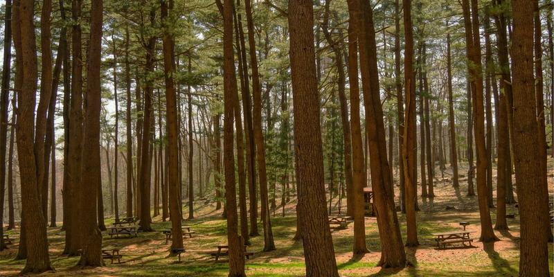 IT服务组合管理：如何让企业IT投资从成本中心变为战略引擎？