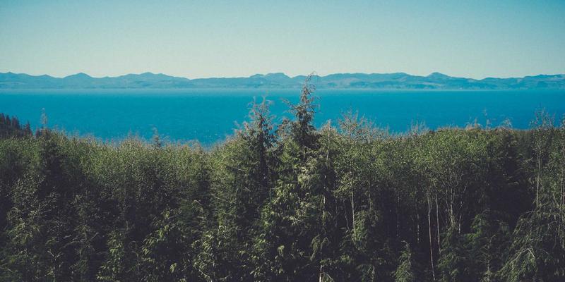 从禅意设计到价值共生:IT服务如何与业务部门共创可衡量的卓越价值