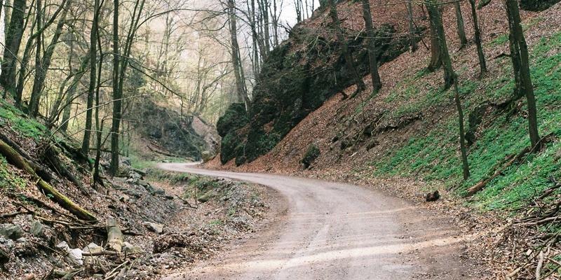 流程挖掘：解锁IT服务自动化的禅意设计，赋能新蓝IT的定制软件革命