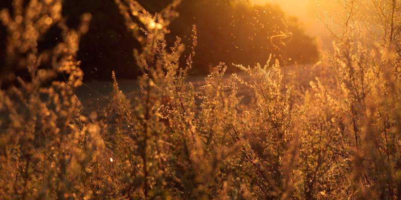 混合云时代,如何选择与集成ITSM平台?一份面向未来的选型与集成策略指南