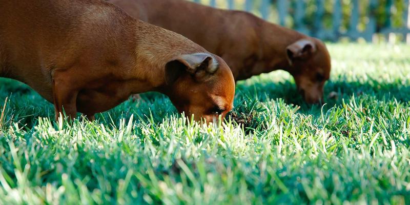 超越技术指标:用户体验(UX)如何成为IT服务交付的终极胜负手
